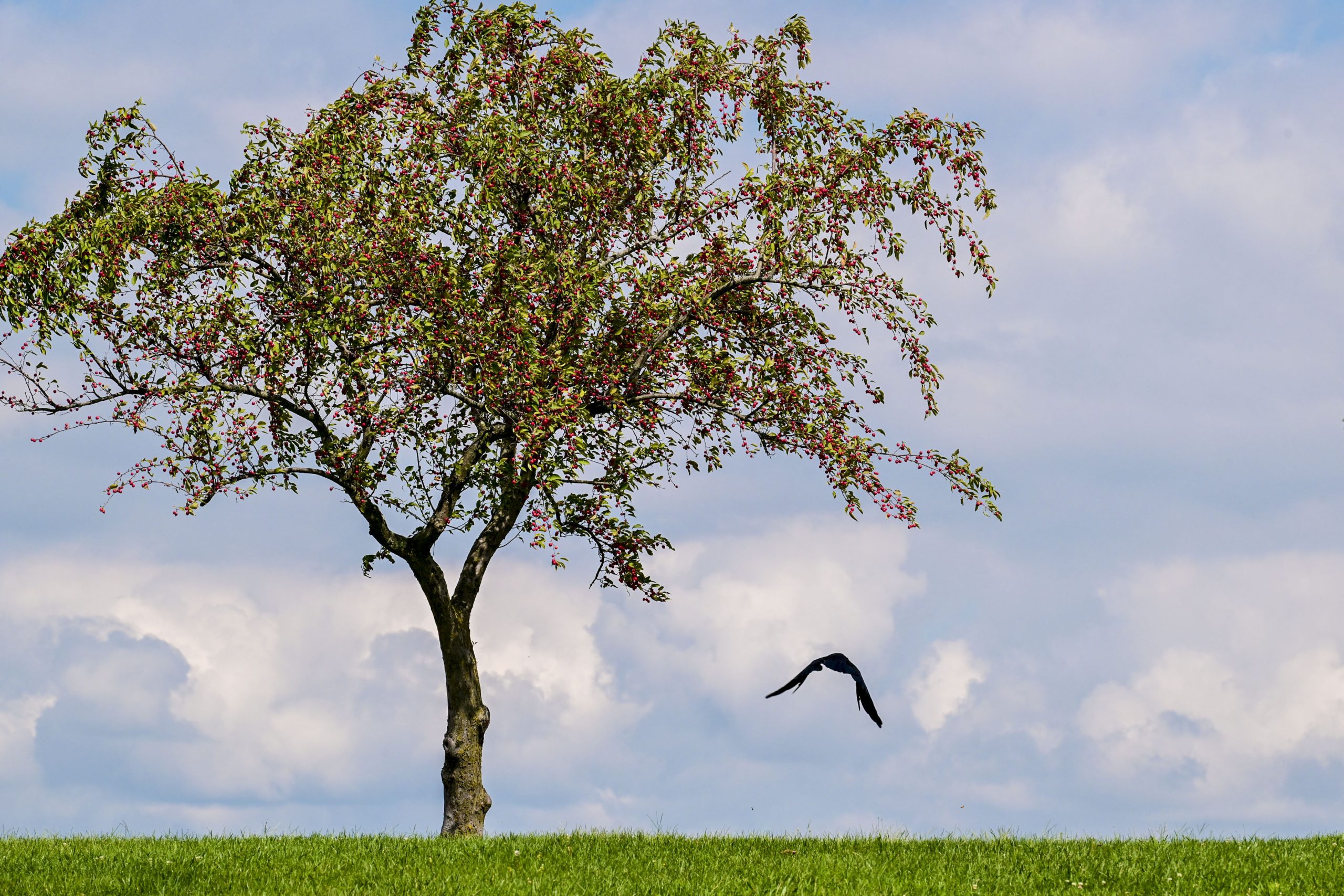 Photography show on display now at MAA gallery
